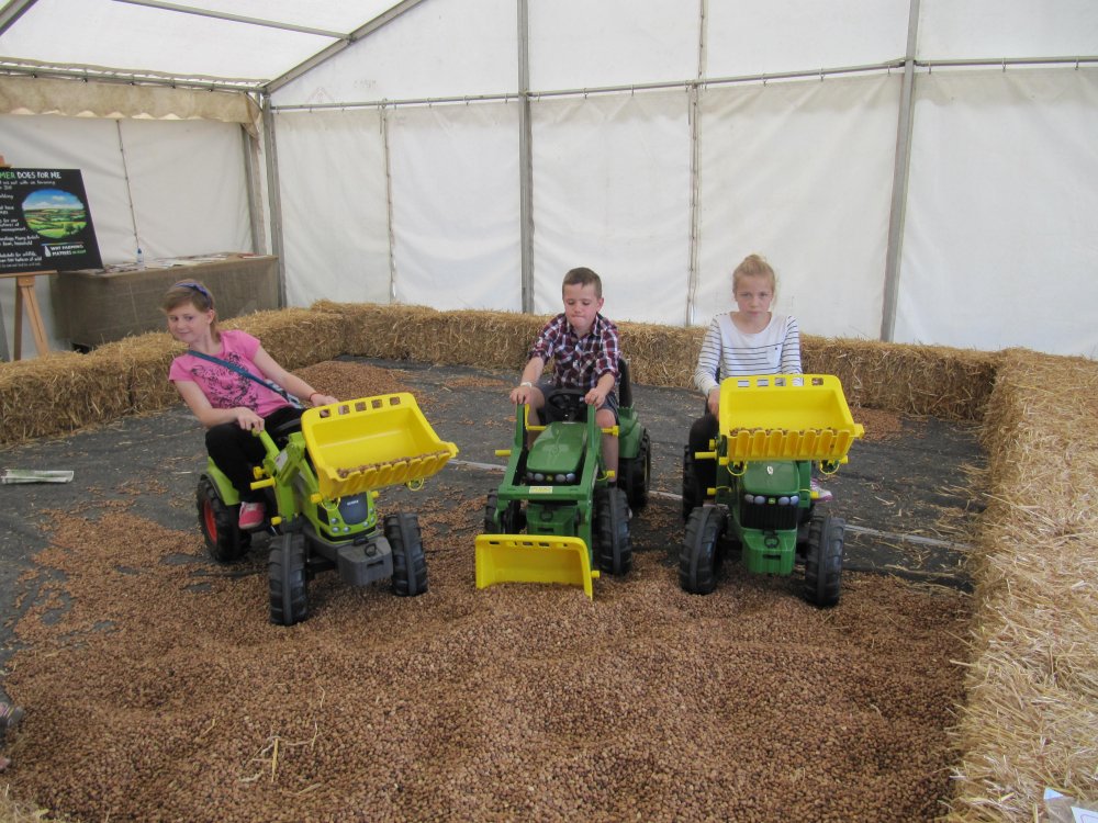 The kiddies on the mini tractors having fun